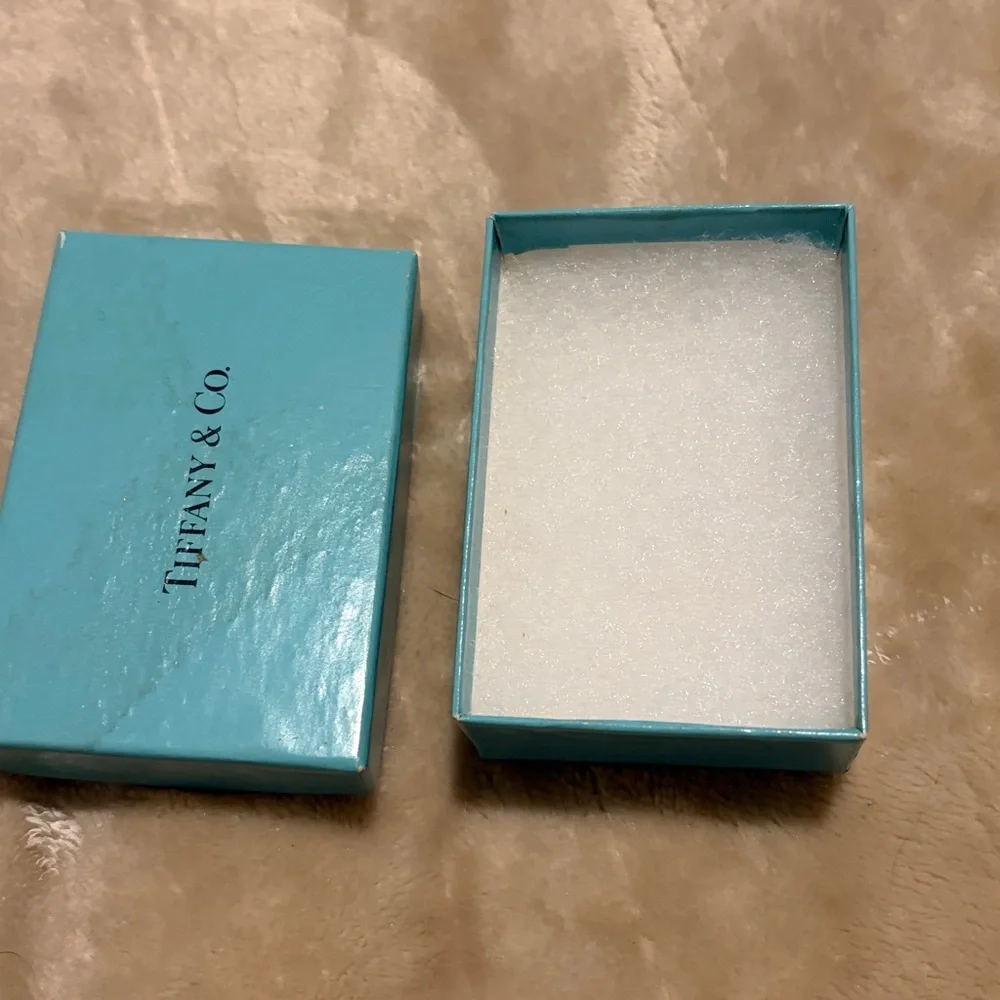 Tiffany & Co. Sterling Silver Clip with pouch and box. No engraving